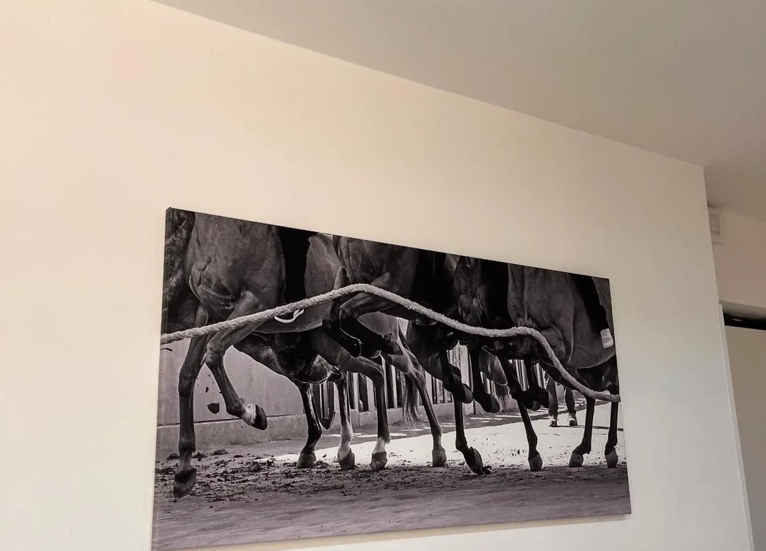 Apartament La Casa Del Palio Siena Włochy